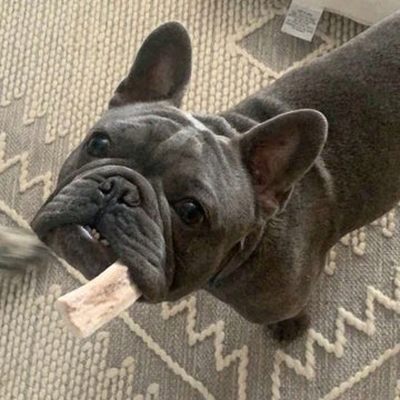 Dog bones for sale in Bend and Central Oregon, grass fed and grass finished beef.